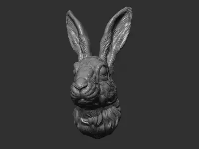 Hare head 3D print model