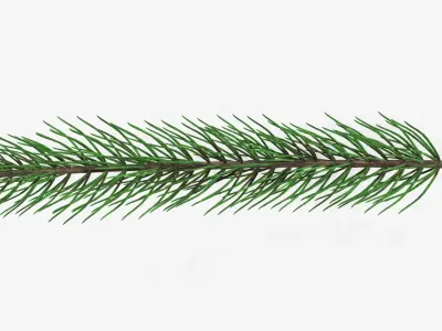 Fir tree branch 01 3D model
