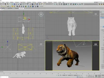 Animated Rigged Tiger  3D model
