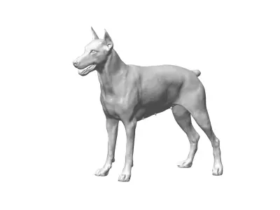 DOBERMAN 3D model