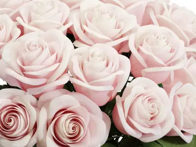 Flower Set 09 - Light Pink Roses Bouquet 3D model