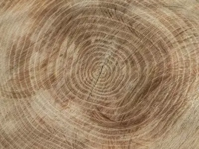 dining table  3D model