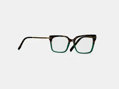 Vela Eyeglasses in Aventurine Tortoise with Polished Gold 3D model
