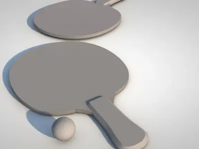 Ping Pong Paddle 3D model