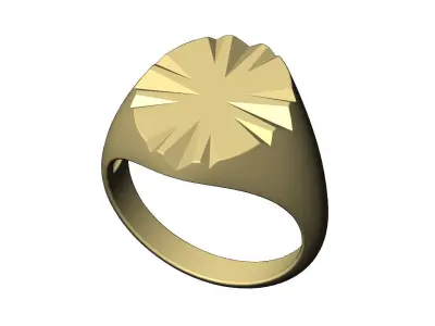 Scratch marks oval signet US sizes 7to10 3D print model