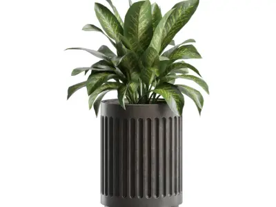 Indoor Plants Pack 89 3D model