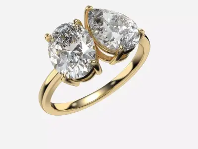 Two Stone diamond Ring 3D print model