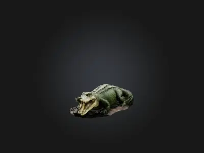 Realistic Crocodile Model Low-poly 3D model