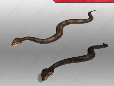 Snake Animated Low-poly 3D model