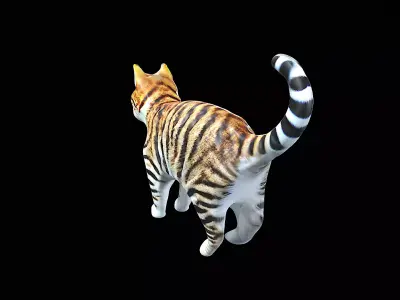 Awesome Cat 3D model