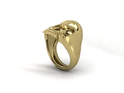 Skull-Ring-R4000 3D print model