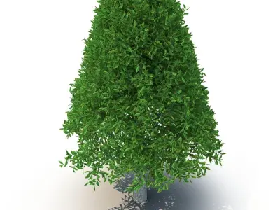 Cylindrical tree 3D model