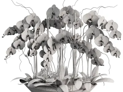 Flower In Vase  23 3D model