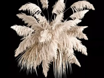 Hanging Bouquet Of Dry Reeds For Decoration 267 3D model