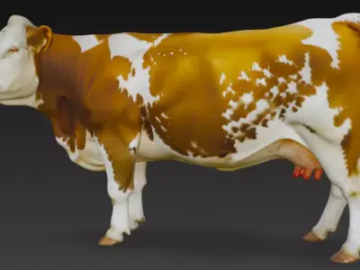 Guernsey Cow 3d Model Low-poly 3D model