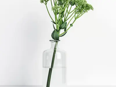 Sedum flower in glass vase 3D model