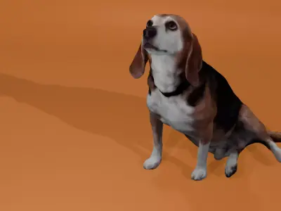 Beagle-3 dog sitting - model 1 Low-poly 3d scan animal 3D model