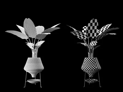 bbanana tree 3D model