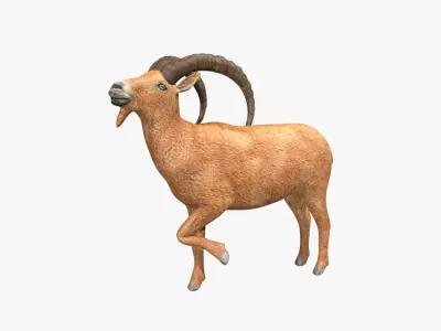 Ibex goat Low-poly 3D model