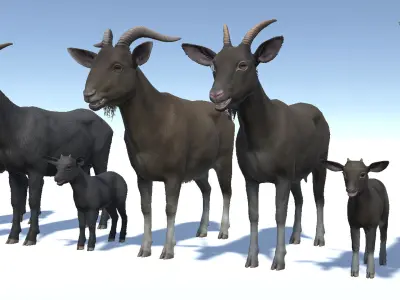 Goat family Low-poly 3D model