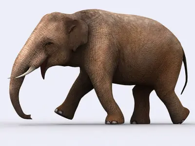 3DRT - Safari Animals Low-poly 3D model