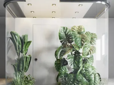 Glass Garden - indoor plant 297 Low-poly 3D model