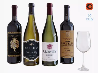 Wine bottle set 12 3D model