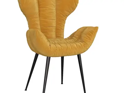 Cassia B156 3d model Low-poly 3D model