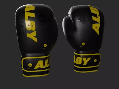 BOXING GLOVES AND GEAR 3D model