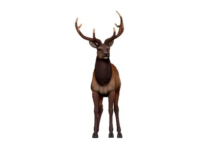 Elk-Elk Low-poly 3D model