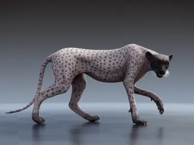 Cheetah - only body with textures and shading 3D model