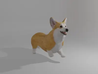 Welshcorgi corgi 3D model