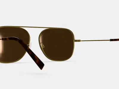 Sade Sunglasses in Polished Gold 3D model
