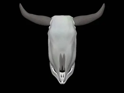 Cow skull Low-poly 3D model