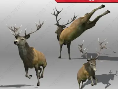 stag Deer Low-poly 3D model