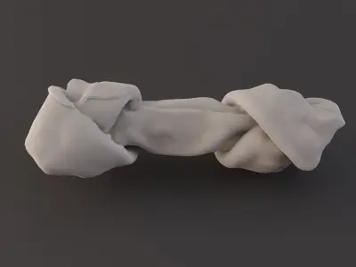 Photoscanned Realistic Dog Bone 3D model