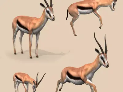 PRO Gazelle Low-poly 3D model