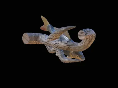 CARP UNDERWATER STATUE ON THE WALL DETAILED TEXTURE 3D print model