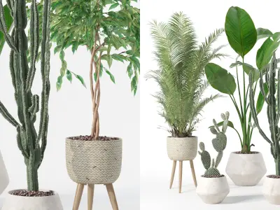 Plants collection 119 3D model