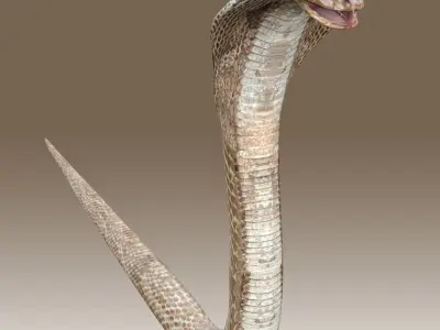 King Cobra Low-poly 3D model