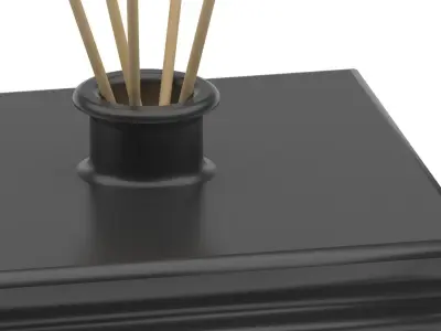Room fragrance reed diffuser 3D model