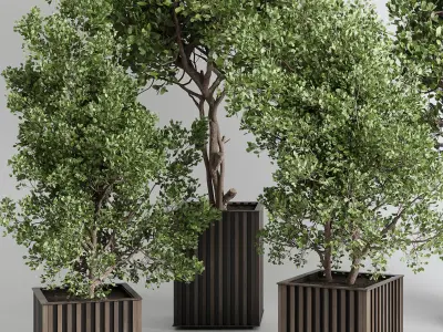 Indoor plant 480 wooden box dirt vase plant tree pot 3D model