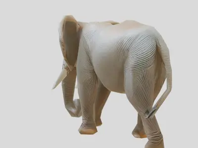 African Elephant Realistic 3D Model Low-poly 3D model