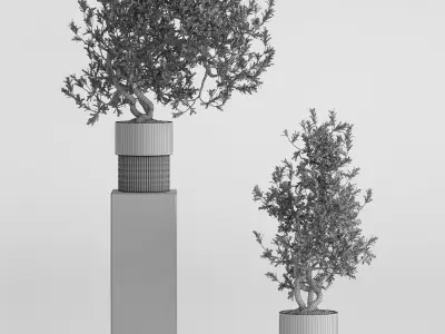 Plants collection 736 3D model