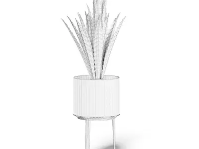 Aloe in White Pot 3D Model 3D model
