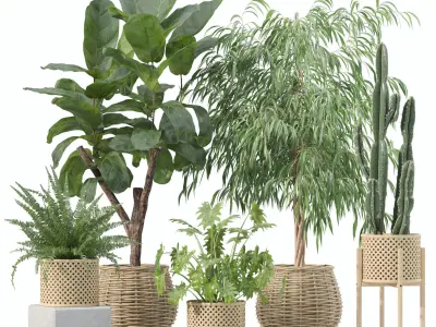 20 Photorealistic Flowers for Interiors - set 209 214 216 219 3D Model Collection