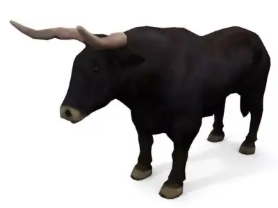 Bull Mammal Low-poly 3D model