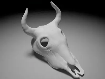 Bull skull 3D print model