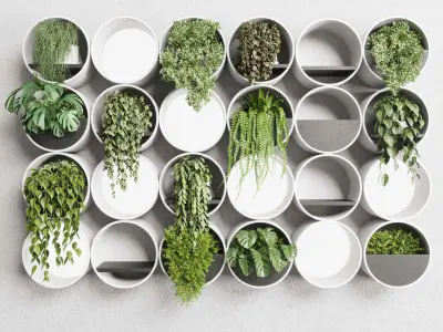 wall plant  set Indoor plant concrete wall vase 3D model