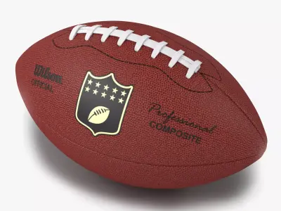 Football Wilson 2 3D model